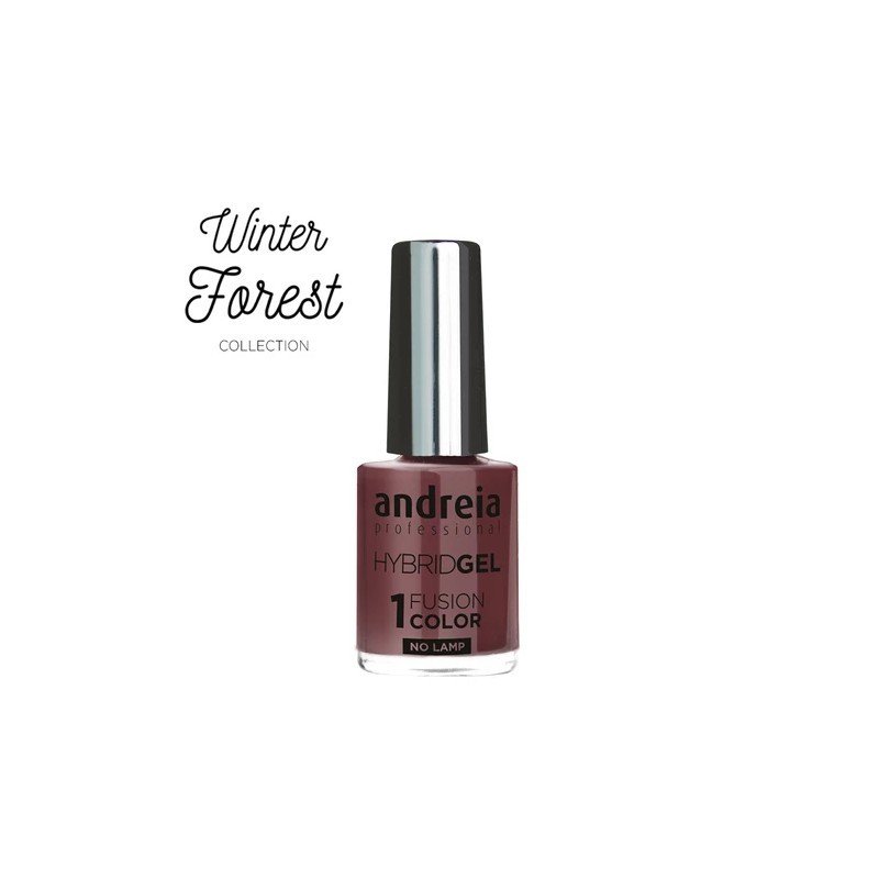 Hybrid Gel H62 10,5ml Andreia