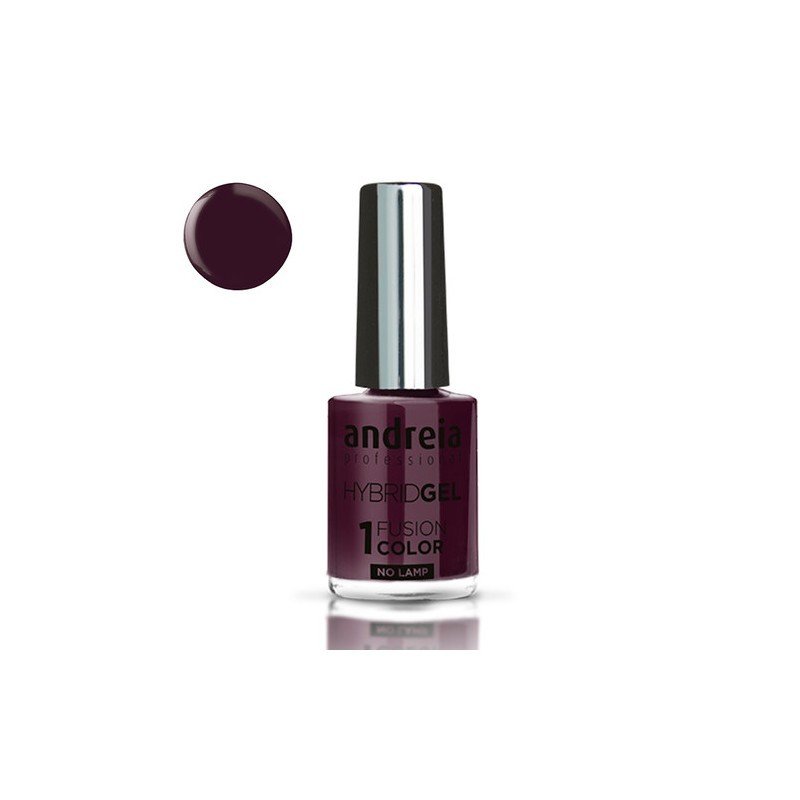 Hybrid Gel H24 10.5Ml Andreia